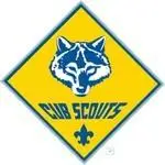 Boy Scout Promo Codes