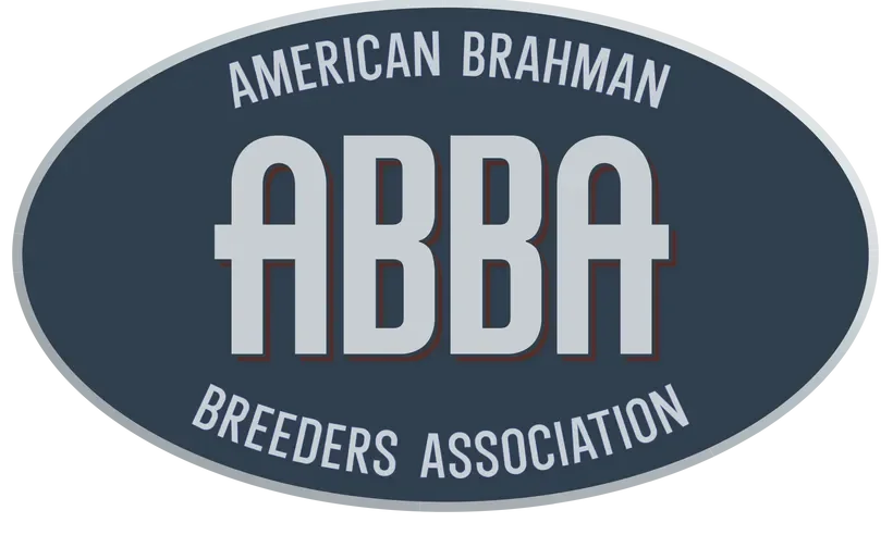 Brahman Promo Codes