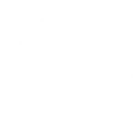 Braille Battery Promo Codes