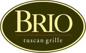 BRIO Promo Codes