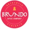 Brundo Promo Codes