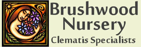 Brushwood Nursery Coupons