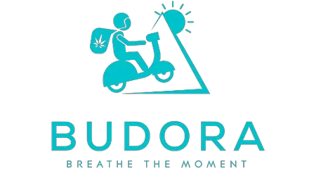 Budora Promo Codes