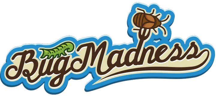 Bug Madness Promo Codes