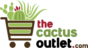 Cactus Outlet Coupons