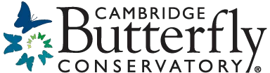 Cambridge Butterfly Conservatory Coupons