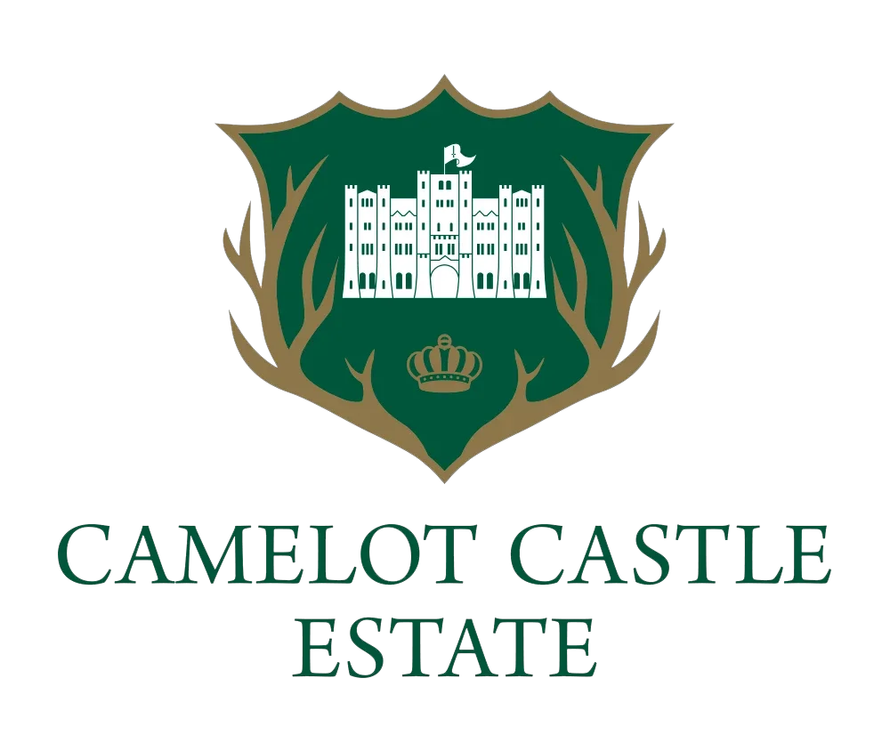 Camelot Castle Promo Codes