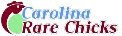 Carolina Rare Chicks Promo Codes