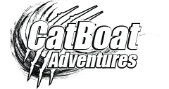 Cat Boat Tours Promo Codes