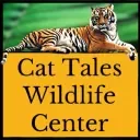 CAT TALES Promo Codes