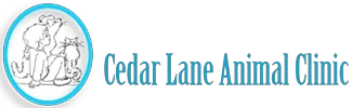 Cedar Lane Animal Clinic Promo Codes