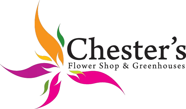 Chesters Flowers Promo Codes