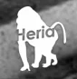 Chris Heria Promo Codes