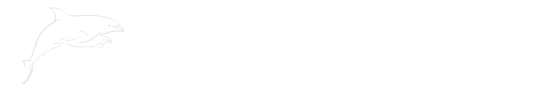 City Sightseeing Orlando Promo Codes