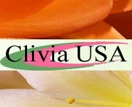 Clivia Usa Promo Codes