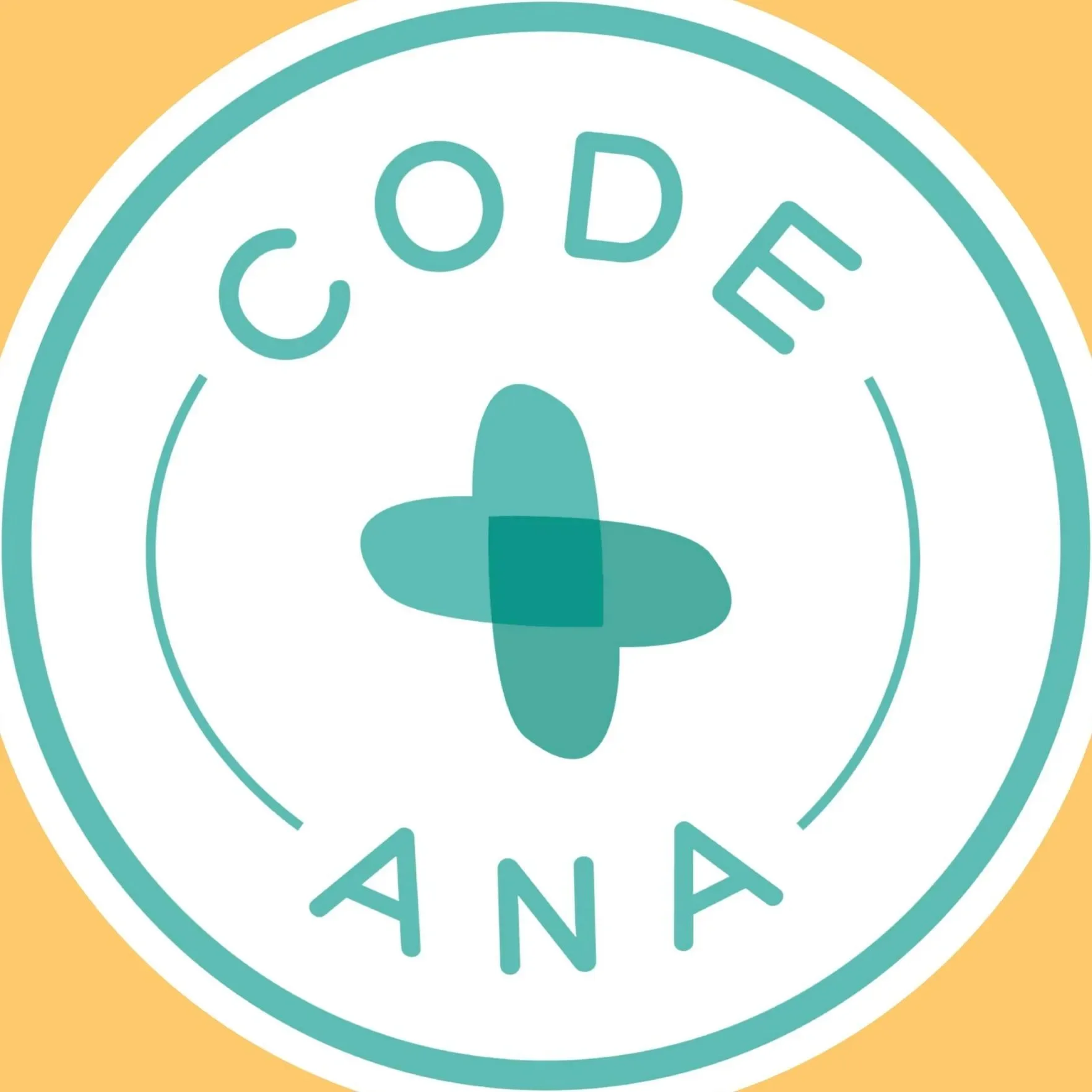 Code Ana Promo Codes