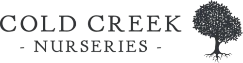 Cold Creek Promo Codes