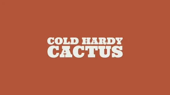 Cold Hardy Cactus Promo Codes