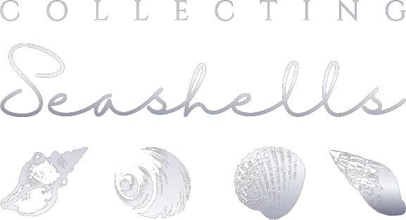 Collecting Seashells Coupons