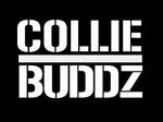 Collie Buddz Promo Codes