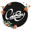 Coloraydecor Promo Codes