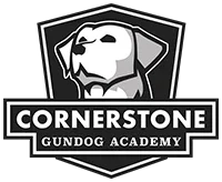 Cornerstone Gundog Academy Promo Codes