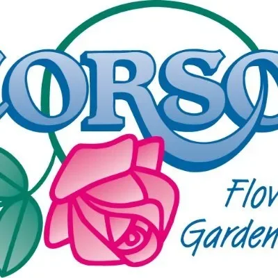 Corsos Sandusky Promo Codes