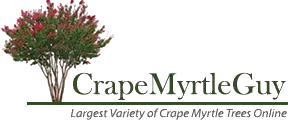 Crape Myrtle Guy Promo Codes