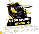 CSGOSmurfNinja Coupons