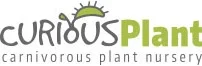 Curious Plant Promo Codes