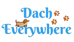 Dach Everywhere Promo Codes