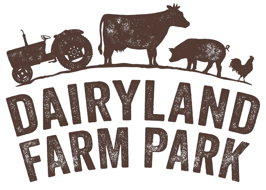 Dairyland Farm Park Promo Codes