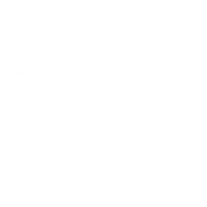 Damascus Promo Codes