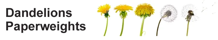 Dandelion Paperweights Promo Codes