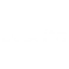 Dasaita Promo Codes