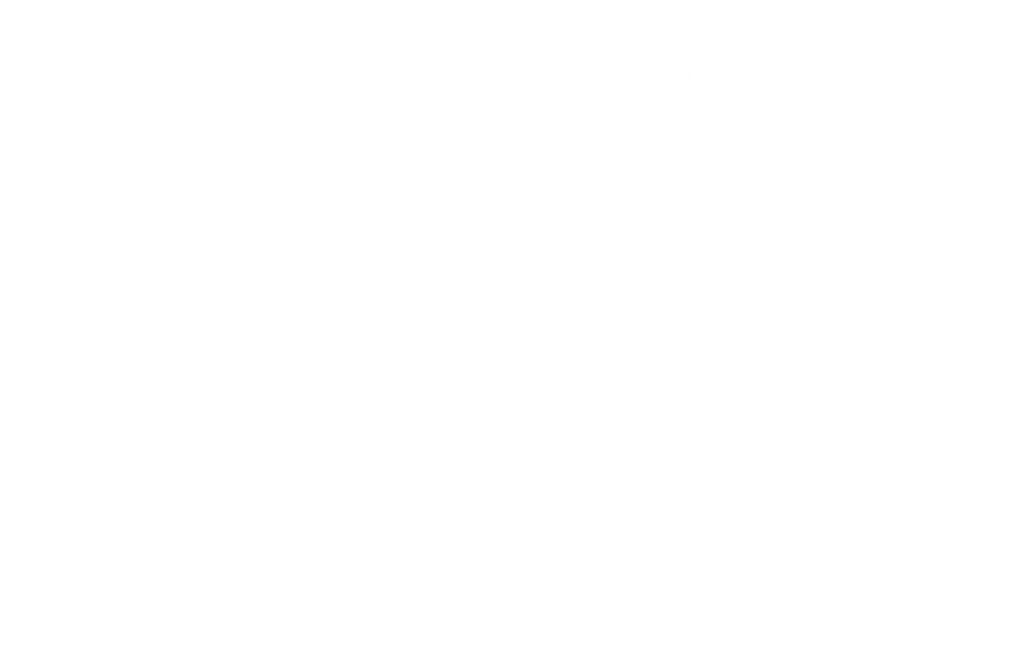 DC WINE FEST Promo Codes