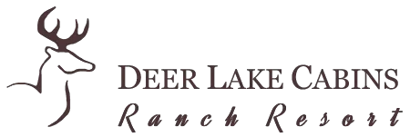 Deer Lake Cabins Promo Codes