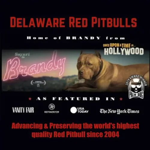 Delaware Red Pitbulls Coupons