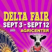 Delta Fair Promo Codes