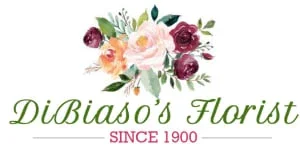 Dibiaso'S Florist Promo Codes