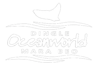 Dingle OceanWorld Promo Codes