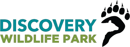 Discovery Wildlife Park Promo Codes