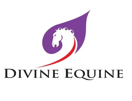 Divine Equine Promo Codes