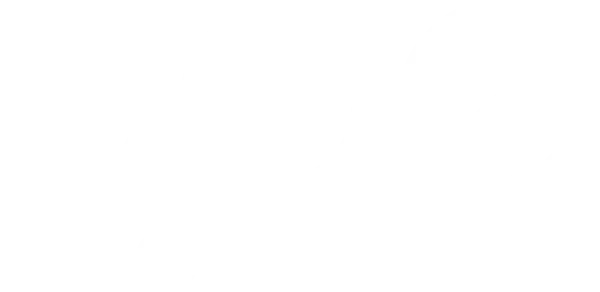 Dog Tracker Nano Promo Codes