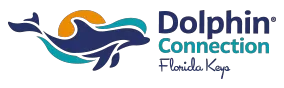 Dolphin Connection Coupons