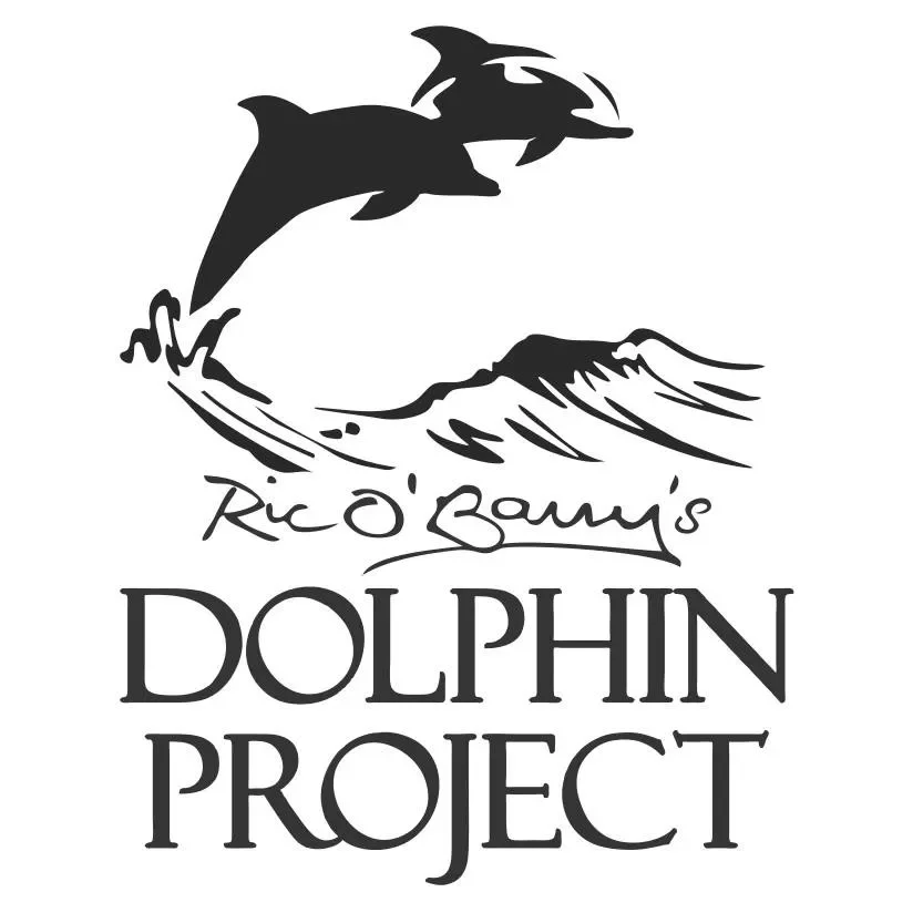 Dolphin Project Promo Codes