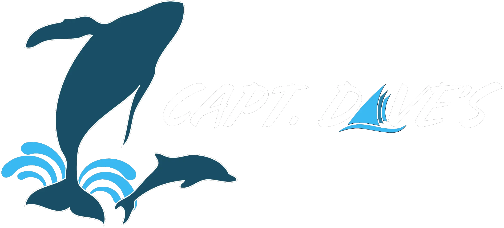 Dolphin Safari Promo Codes