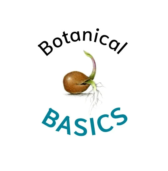 Draw Botanical Promo Codes