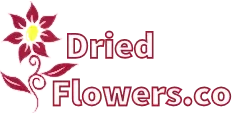 Dried Flowers Promo Codes