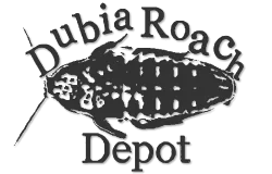 Dubia Roach Depot Promo Codes